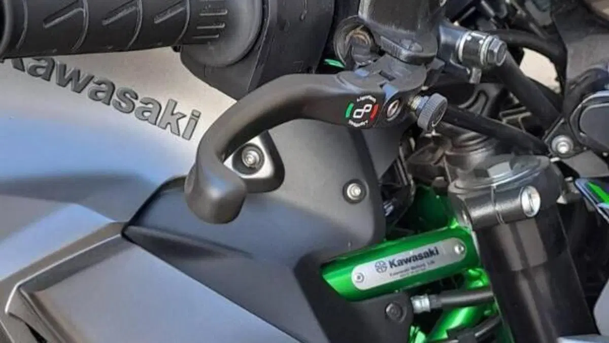 Kawasaki Z 900 (2021 - 24)  (13)