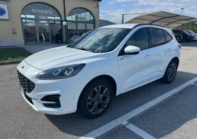 Ford Kuga 2.0 EcoBlue 120CV aut. AWD ST-Line X usata