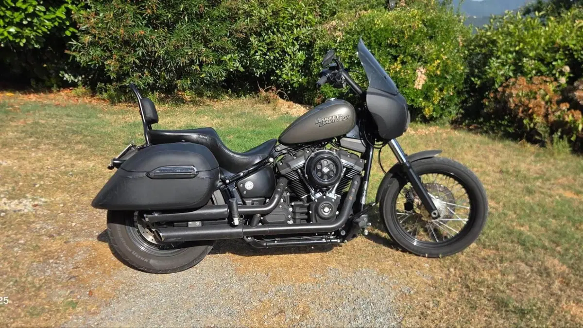 Harley-Davidson 107 Street Bob (2018 - 20) - FXBB  (3)