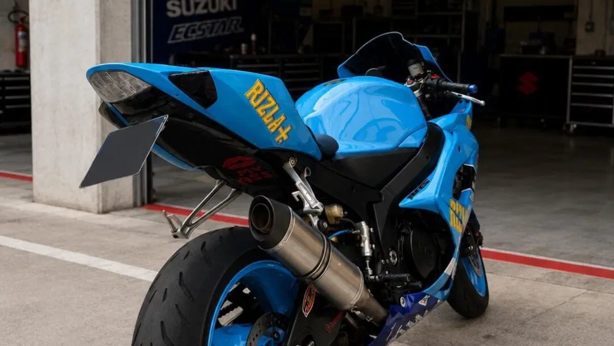 Suzuki GSX-R1000 (2005 - 06)  (2)