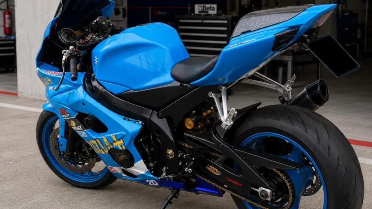 Suzuki GSX-R1000 (2005 - 06)  (5)