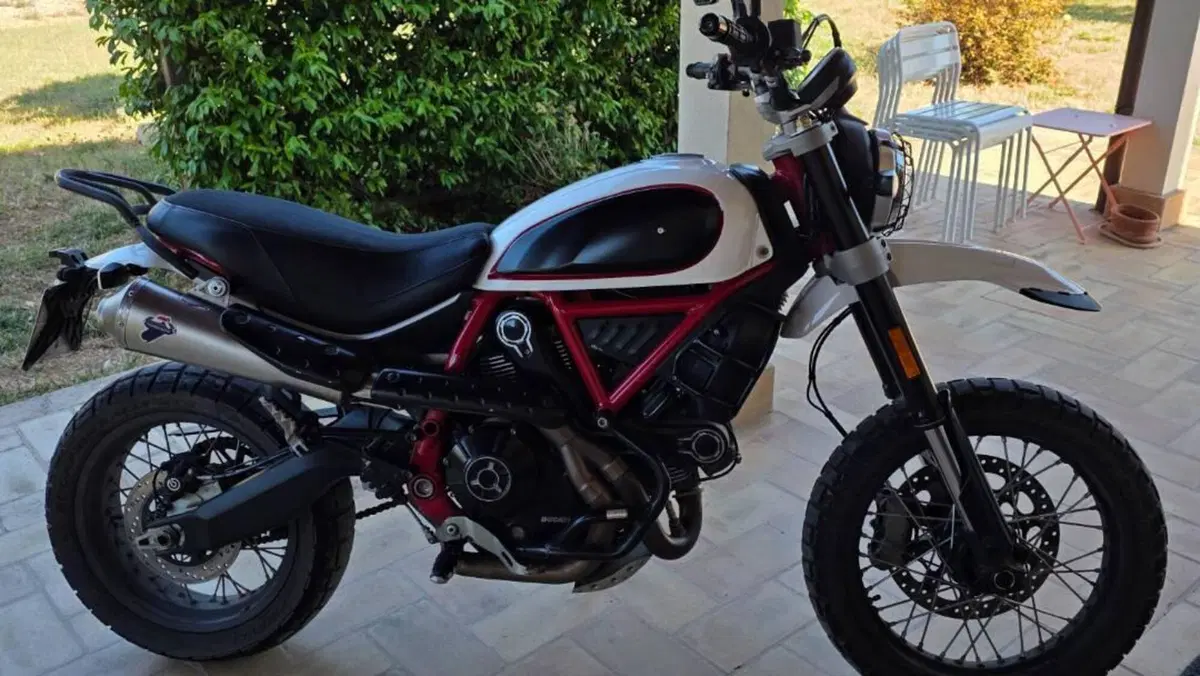 Ducati Scrambler 800 Desert Sled (2017 - 20)  (9)