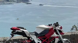 Bimota DB6 Delirio RE (2006 - 15)  (4)