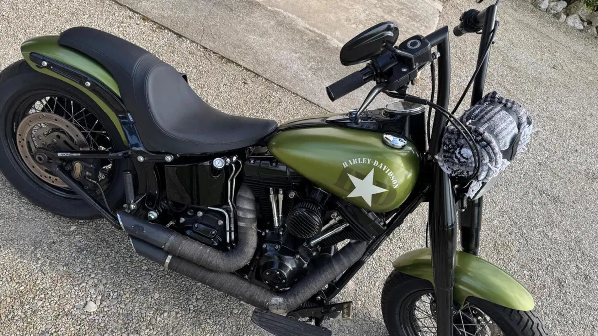 Harley-Davidson 1690 Slim (2011 - 16) - FLS  (2)