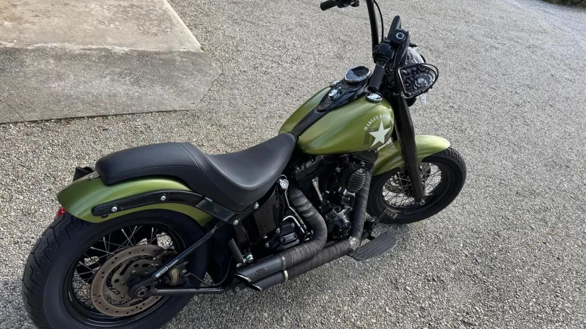 Harley-Davidson 1690 Slim (2011 - 16) - FLS  (3)