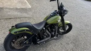 Harley-Davidson 1690 Slim (2011 - 16) - FLS  (3)
