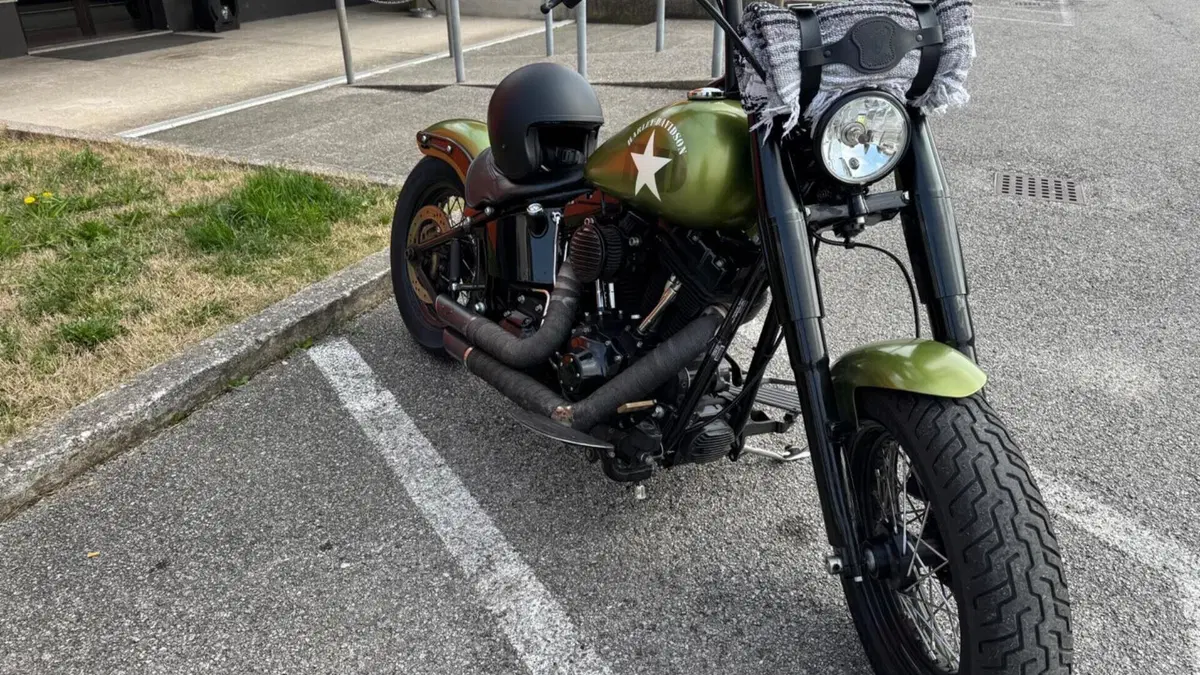 Harley-Davidson 1690 Slim (2011 - 16) - FLS  (5)