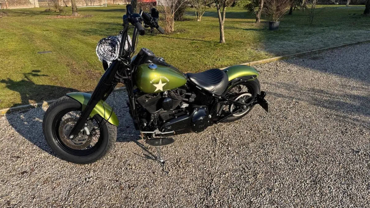 Harley-Davidson 1690 Slim (2011 - 16) - FLS  (6)
