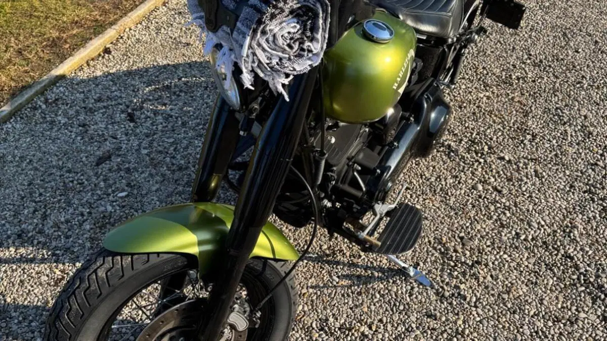 Harley-Davidson 1690 Slim (2011 - 16) - FLS  (7)