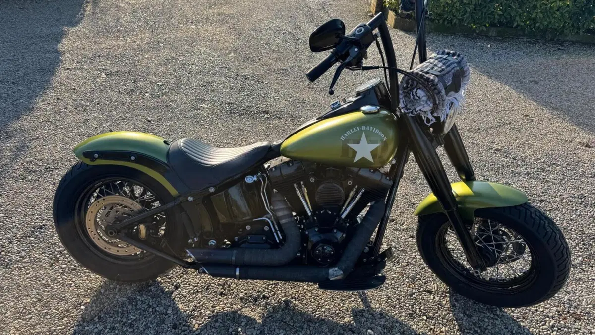 Harley-Davidson 1690 Slim (2011 - 16) - FLS  (8)