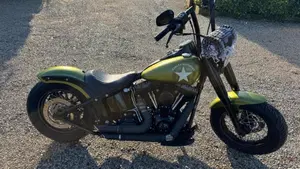 Harley-Davidson 1690 Slim (2011 - 16) - FLS  (8)