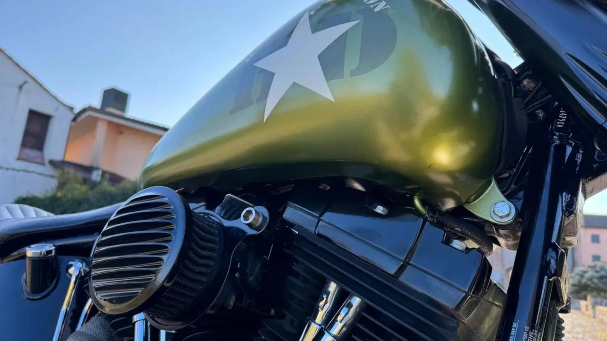 Harley-Davidson 1690 Slim (2011 - 16) - FLS  (10)