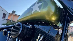 Harley-Davidson 1690 Slim (2011 - 16) - FLS  (10)