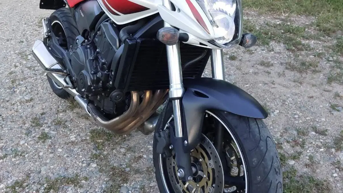 Honda Hornet 600 (2007 - 10)  (2)