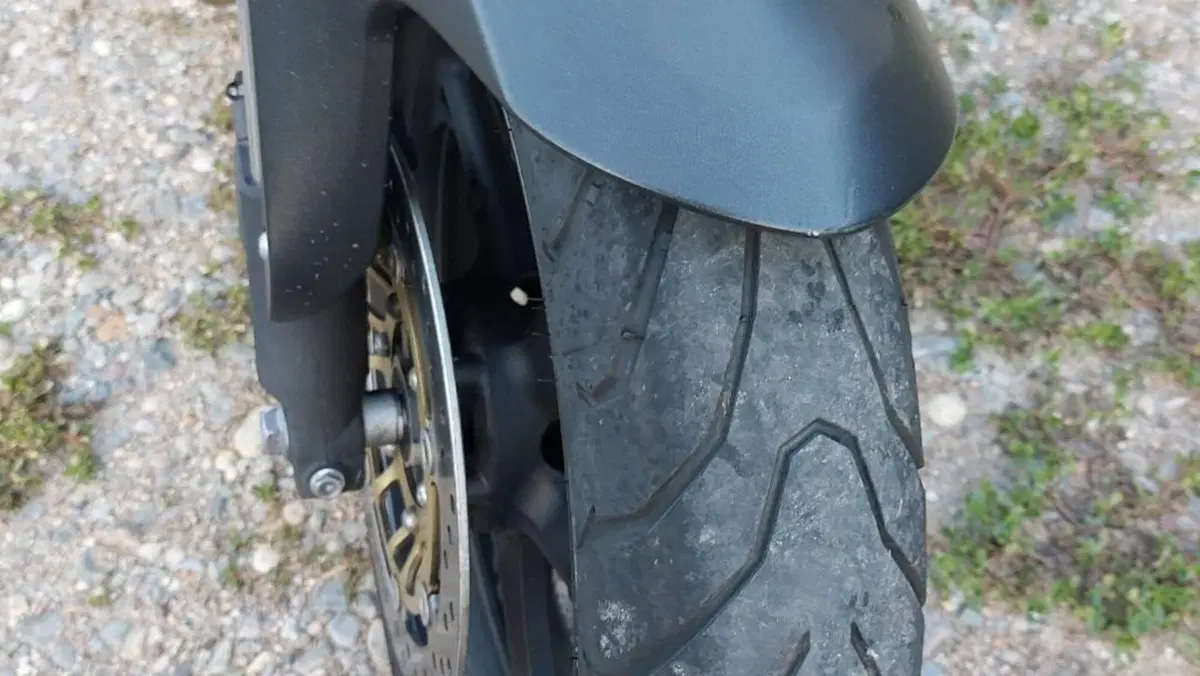 Honda Hornet 600 (2007 - 10)  (7)