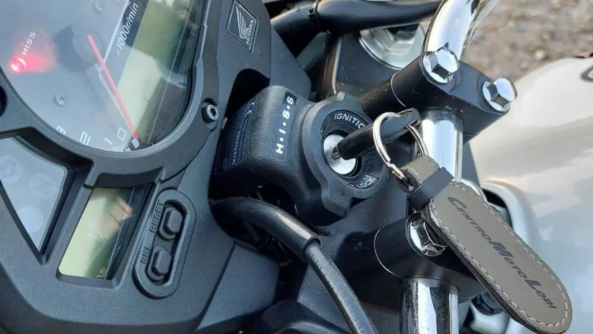Honda Hornet 600 (2007 - 10)  (8)