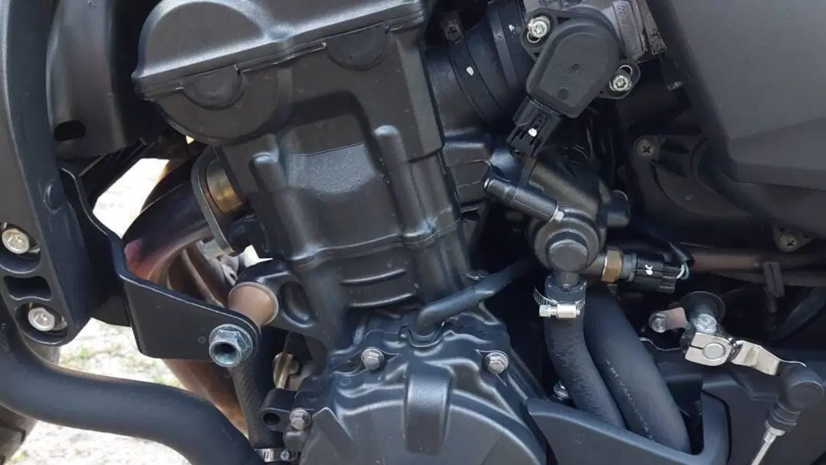Honda Hornet 600 (2007 - 10)  (10)