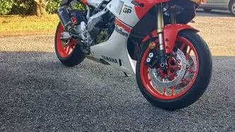 Yamaha XSR 900 GP (2024 - 26) usata