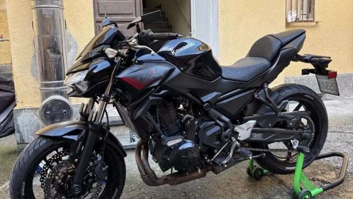Kawasaki Z 650 (2021 - 24)  (3)