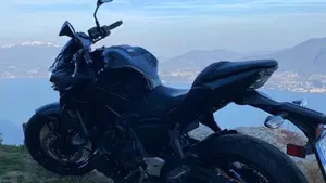 Kawasaki Z 650 (2021 - 24)  (4)