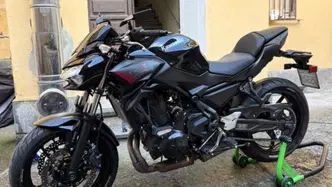 Kawasaki Z 650 (2021 - 24)