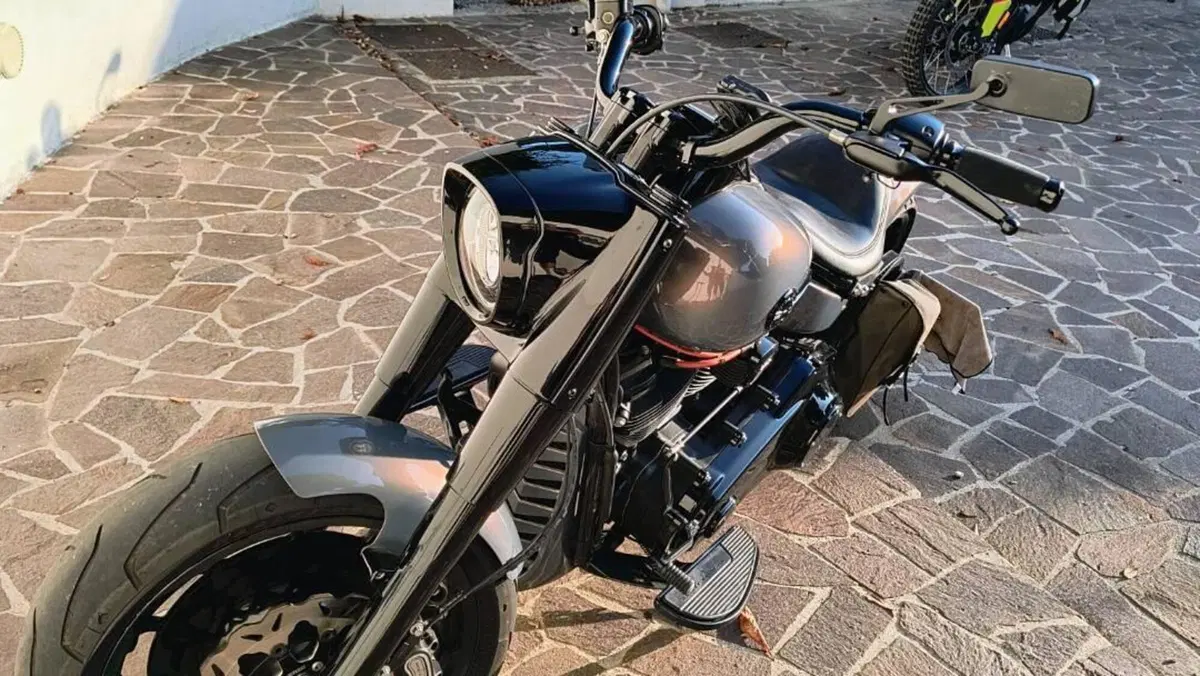 Harley-Davidson Fat Boy 114 (2021 - 24)  (2)