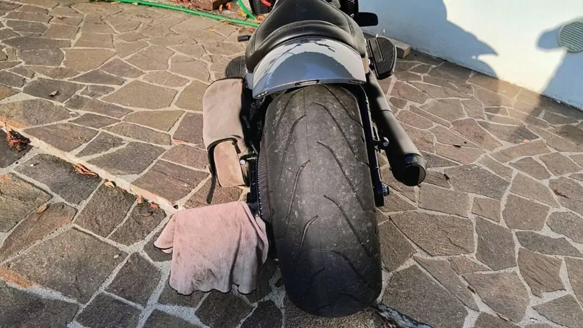 Harley-Davidson Fat Boy 114 (2021 - 24)  (7)