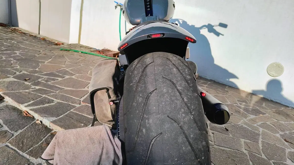 Harley-Davidson Fat Boy 114 (2021 - 24)  (8)