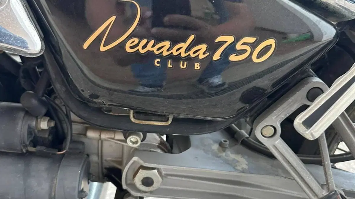 Moto Guzzi Nevada 750 (1992 - 02)  (2)