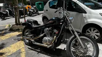 Honda VT 600 C Shadow (1989 - 98) usata