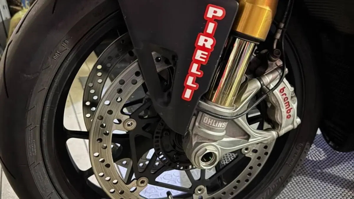 Ducati Panigale V4 S 1100 (2020)  (2)