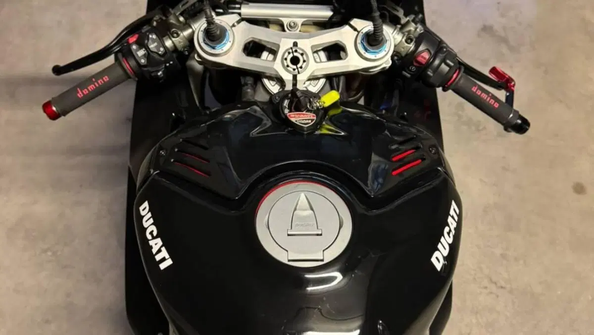Ducati Panigale V4 S 1100 (2020)  (6)