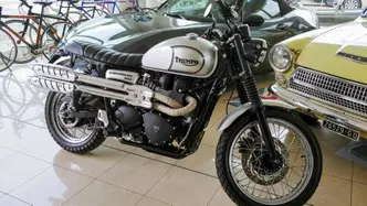 Triumph Scrambler (2006 - 17) usata