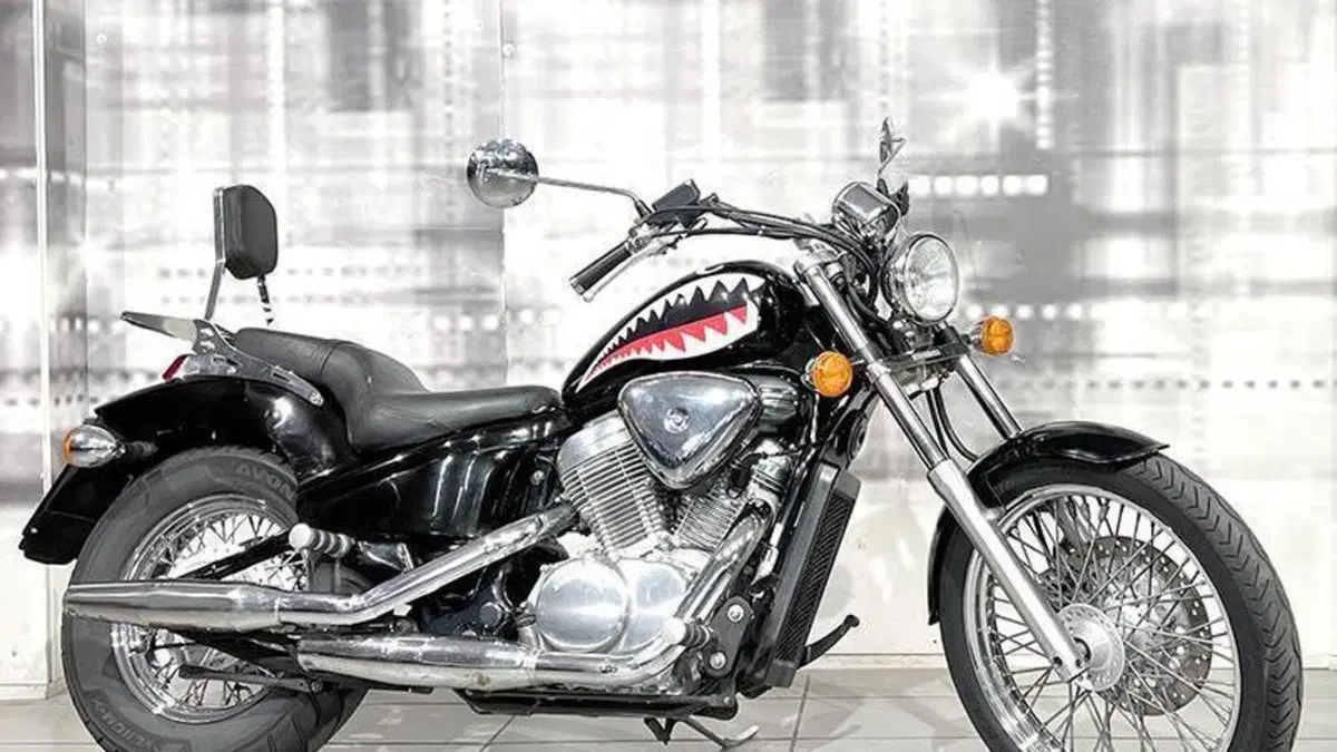 Honda VT 600 C Shadow (1989 - 02) 