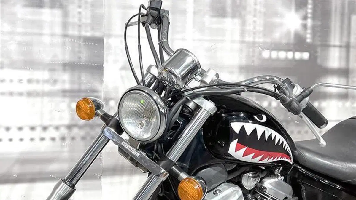 Honda VT 600 C Shadow (1989 - 02)  (5)