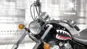 Honda VT 600 C Shadow (1989 - 02)  (5)