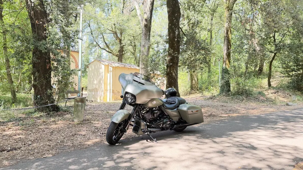 Harley-Davidson 114 Street Glide Special (2019 - 20) - FLHXS  (2)