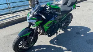 Kawasaki Z 900 (2021 - 24)  (3)