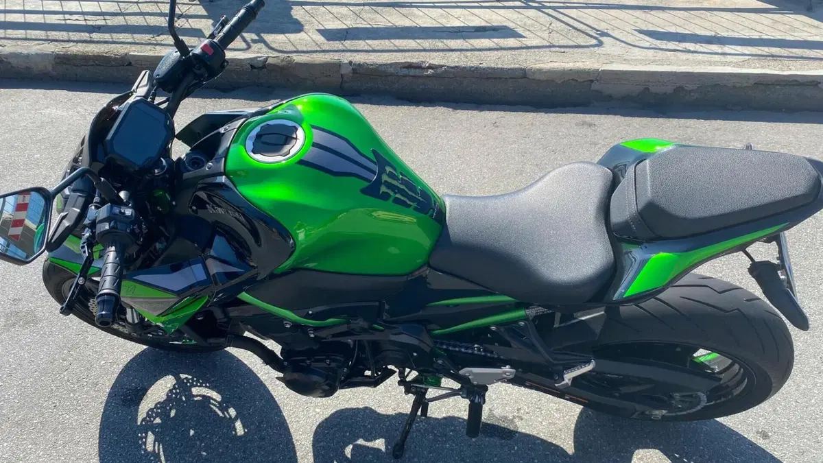 Kawasaki Z 900 (2021 - 24)  (7)