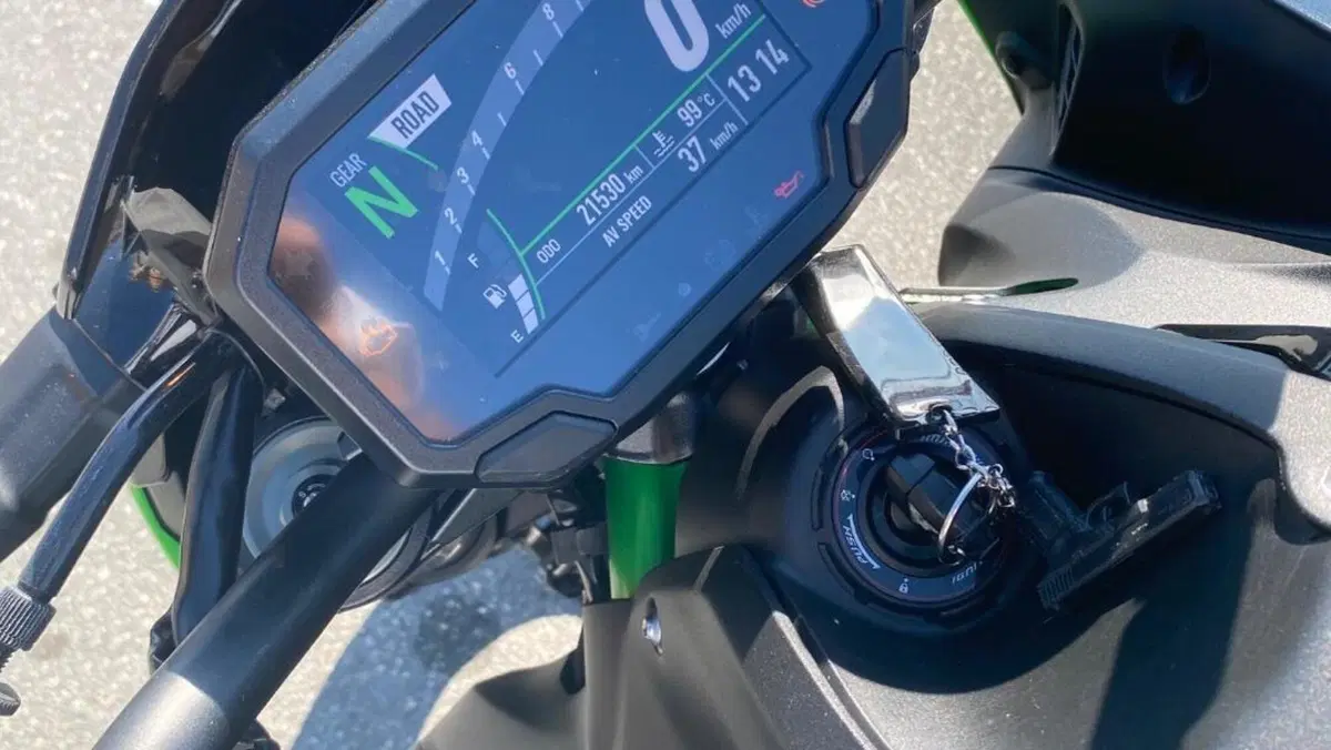 Kawasaki Z 900 (2021 - 24)  (9)