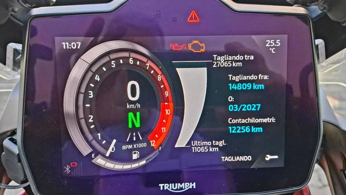Triumph Tiger 1200 GT Pro (2024 - 26) 