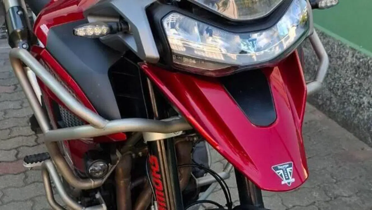 Triumph Tiger 1200 GT Pro (2024 - 26)  (4)