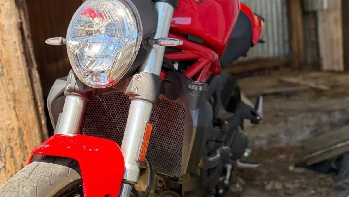 Ducati Monster 821 ABS (2014 - 17)  (2)