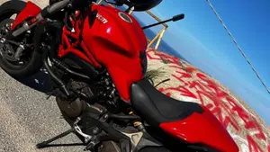 Ducati Monster 821 ABS (2014 - 17)  (3)