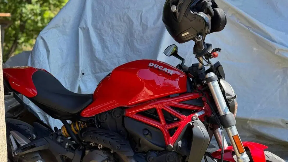 Ducati Monster 821 ABS (2014 - 17)  (4)
