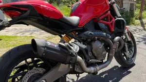 Ducati Monster 821 ABS (2014 - 17)  (5)