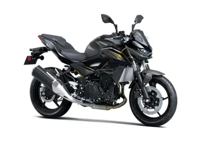 Kawasaki Z 500 (2024 - 26) - Annuncio 10064586