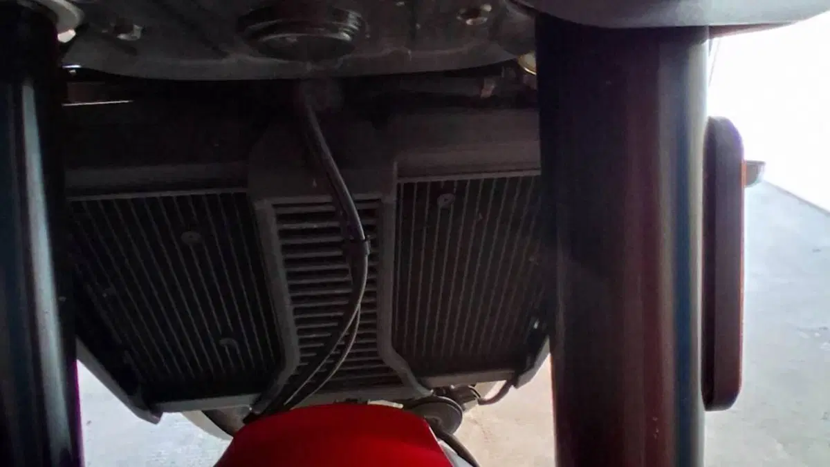 Moto Guzzi V100 Mandello (2022 - 24)  (9)