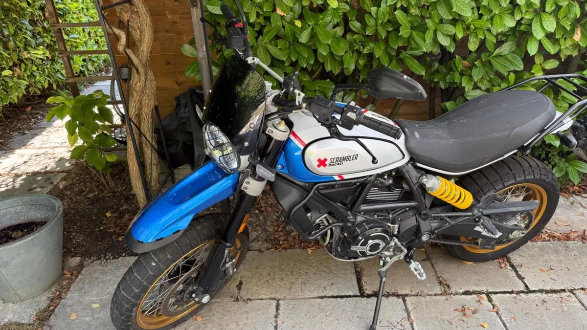 Ducati Scrambler 800 Desert Sled (2021 - 22)  (2)