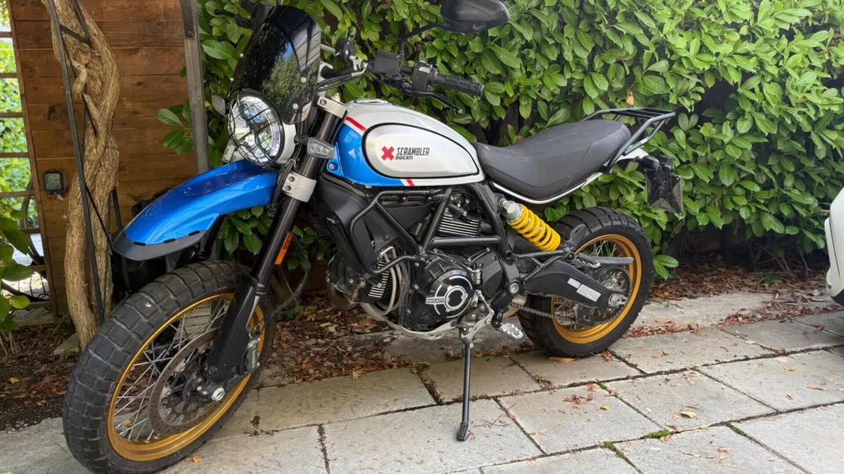 Ducati Scrambler 800 Desert Sled (2021 - 22)  (3)